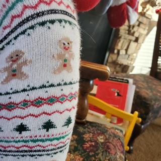 Ouvre la visionneuse de médias pour les photos soumises par Liz A