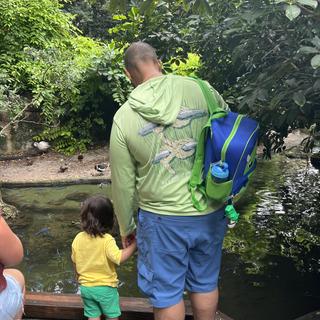 Ouvre la visionneuse de médias pour les photos soumises par Janel P