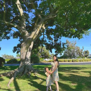 Abre el Visualizador de multimedia para la foto enviada por Mutong X.