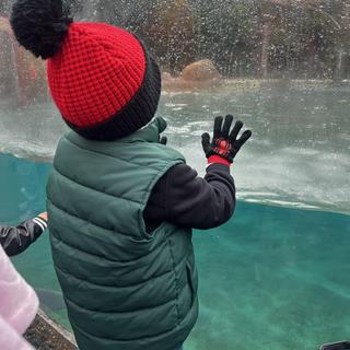 Opens Media Viewer to photo submitted by Latalaricoocanto