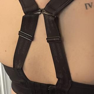 Submitted by Lauren L