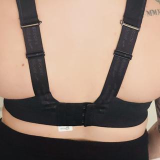 Submitted by Lauren L