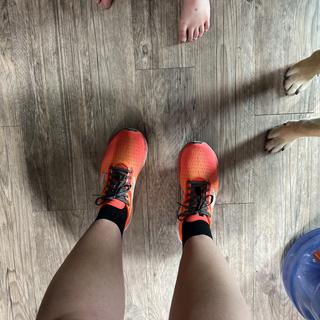 Submitted by Kate F