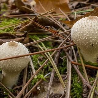 EOS 70D, f16, 0.4s ISO 200, downsized, uncropped