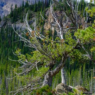 Whirlpool Point
1/420 sec, f/11, iso160, 70mm
Fuji x-t4