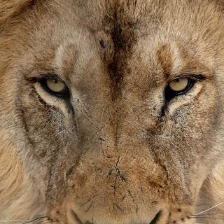 User submitted image