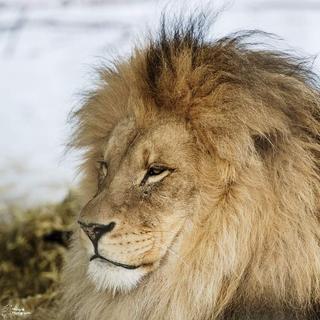 User submitted image