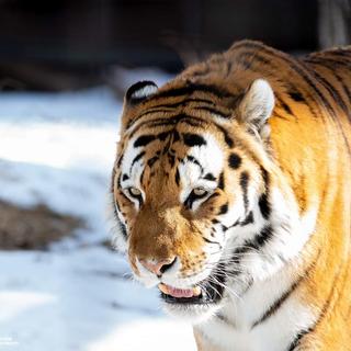 User submitted image