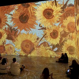 User submitted image