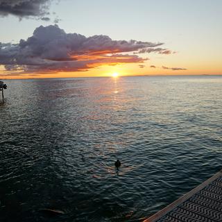 User submitted image