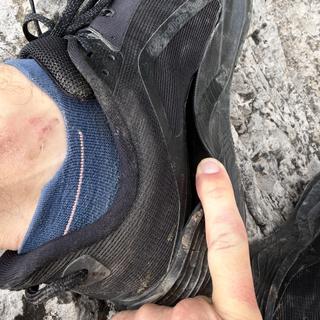 Übermittelt von BearsEatPeople