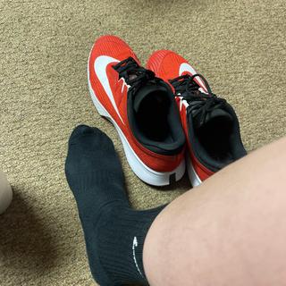 Submitted by Douglad870409713