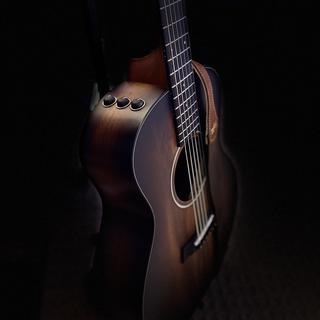 Taylor Guitars