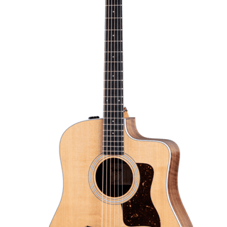 210ce Walnut Acoustic-Electric Guitar | Taylor Guitars