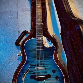 ギター Taylor guiter T5 Taylor T5 Standard Electric Guitar w/Case, Black – Swee Lee