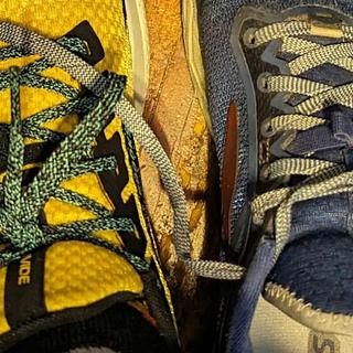 Submitted by ArtCFartC