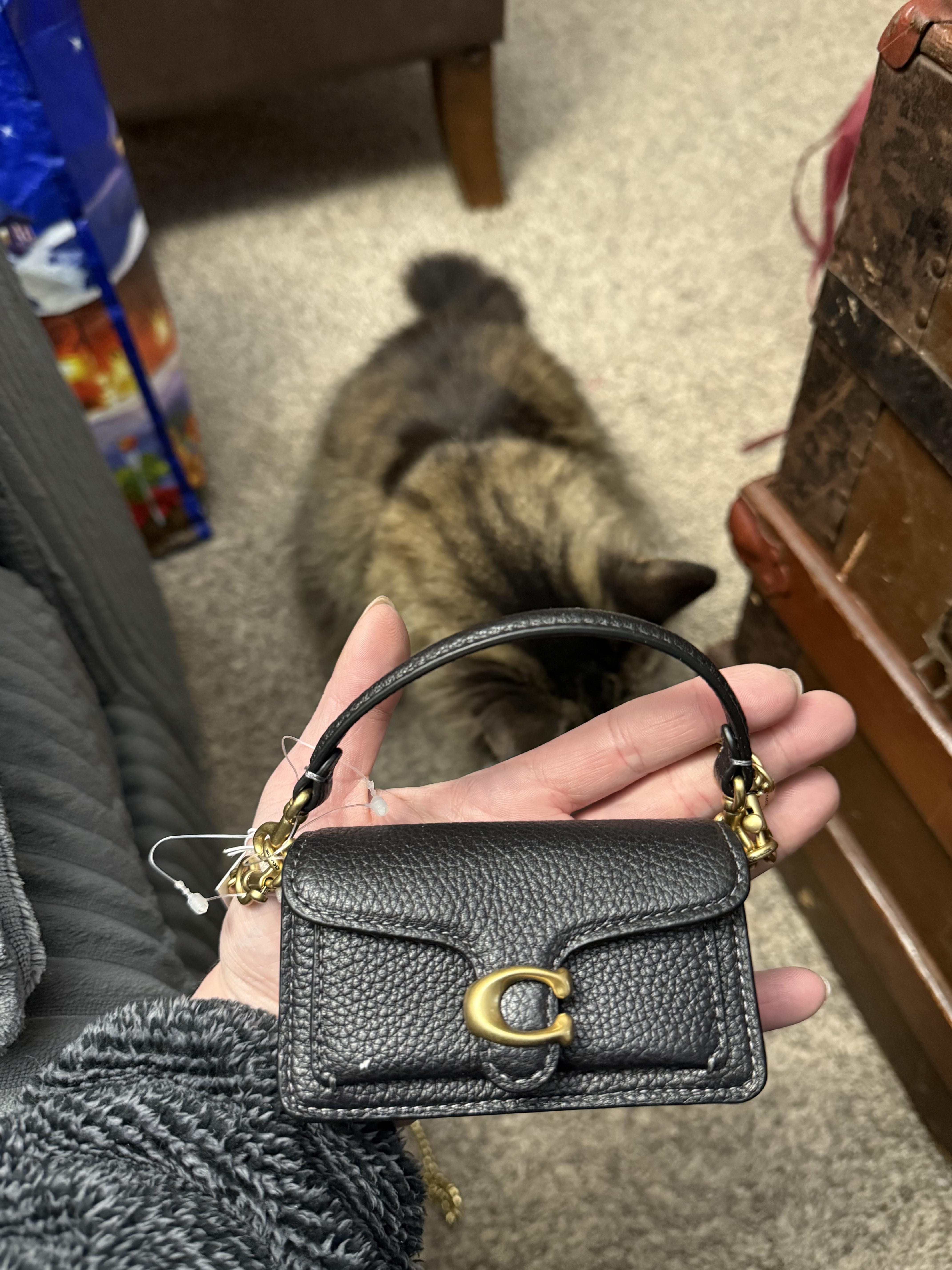 Tabby Bag Charm | Accessories | Coach