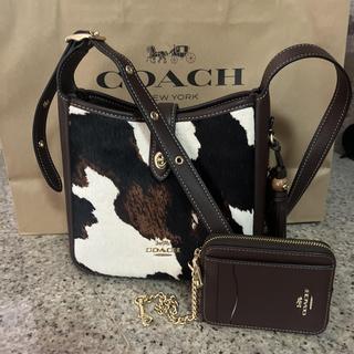 Hadley Mini Crossbody Bag In Signature Denim | Coach Australia