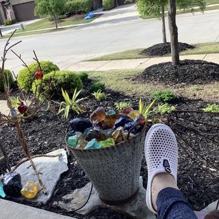 Submitted by JO L