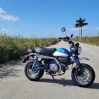 Vance & Hines Hi-Output Slip-On Brushed Honda Monkey Z125 2019