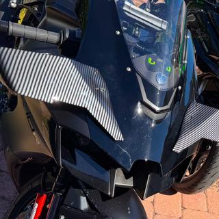 新品【ライト付きドレッサー】ブラック　※10枚目シール浮き　2603211824 2025年モデル Kawasaki Ninja ZX-10R 適合製品情報 - TRICK STAR