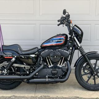 Le Pera Cherokee Seat For Harley Sportster 2010-2022 - Cycle Le Pera Cherokee Seat For Harley Sportster 2010-2022 - Cycle