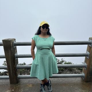 Jazzy Gingham Ponte Fiorella Dress | Kate Spade Outlet
