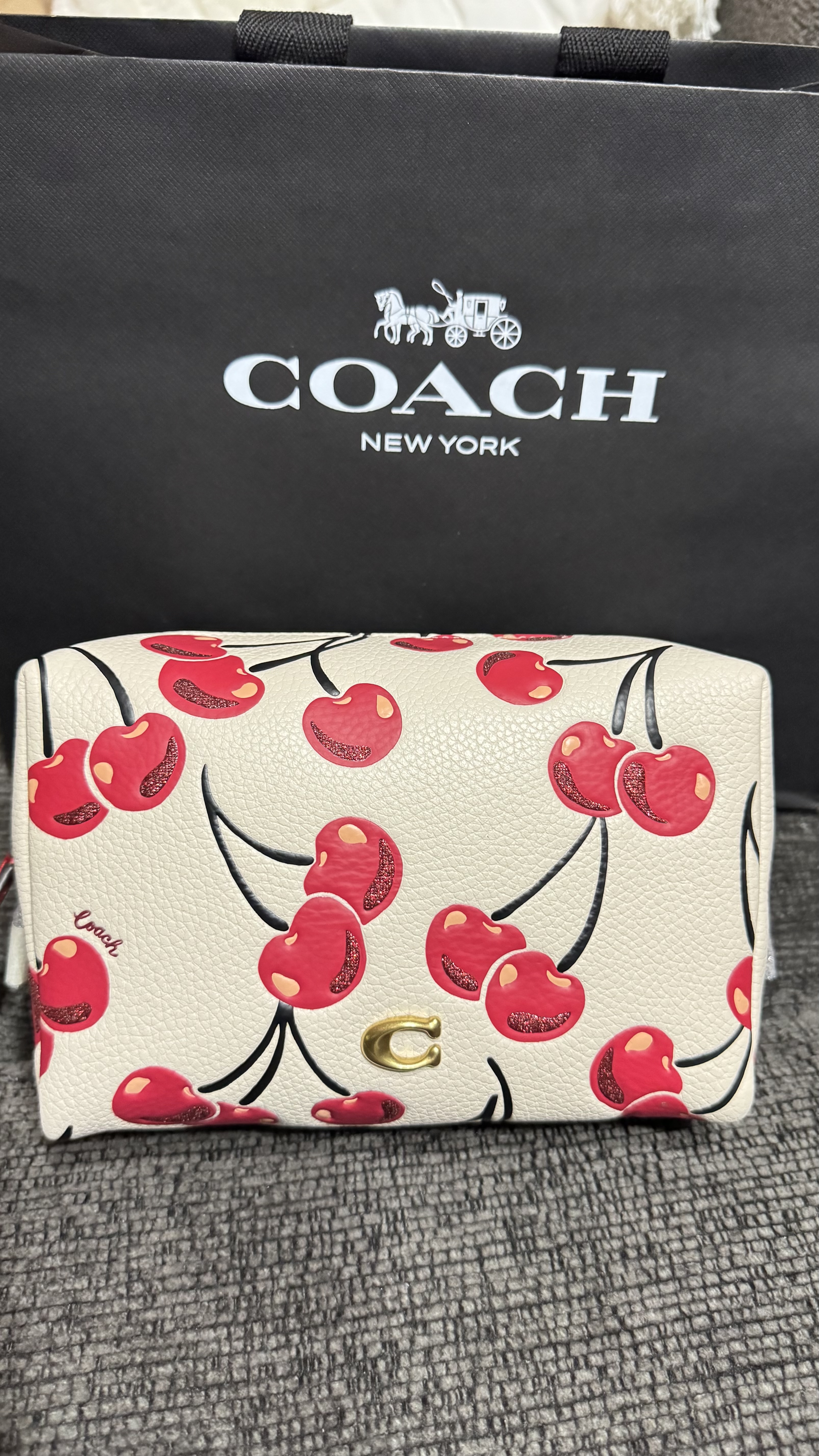 【COACH 】Essential Cosmetic Pouch With Cherry Print COACH® Outlet | Essential Cosmetic Pouch With Strawberry Print