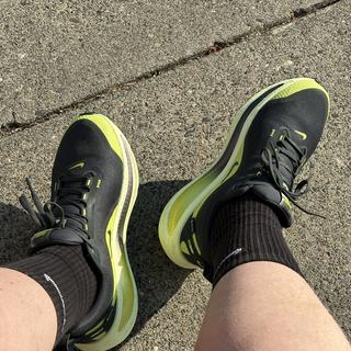 Enviat per Nay