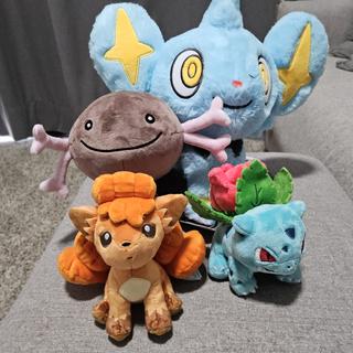 Pokemon Center Original Pokemon Fit Nidoran ? Male Plush Peluche Plüschtier Pokemon Center Original Pokemon Fit Nidoran ? Male Plush Peluche Plüschtier