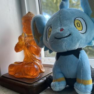 Shinx Sitting Cuties Plush - 6 In. | Pokémon Center Official Site