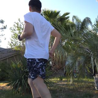 Submitted by dgarcia