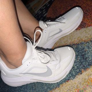 Submitted by Lady Bobby
