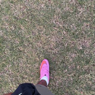 Submitted by Alrick72172319