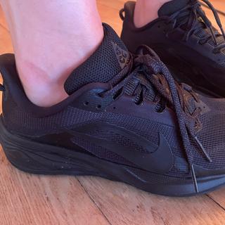 Submitted by Lisa