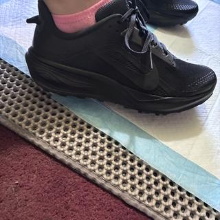 Submitted by Callsheb