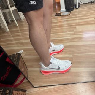 Submitted by Johnny